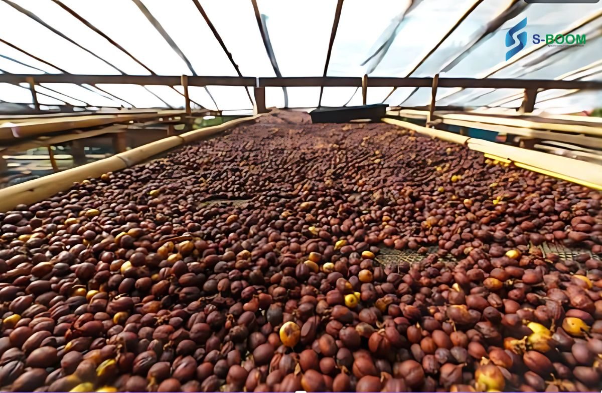 Sboom Agro -Processing Plc